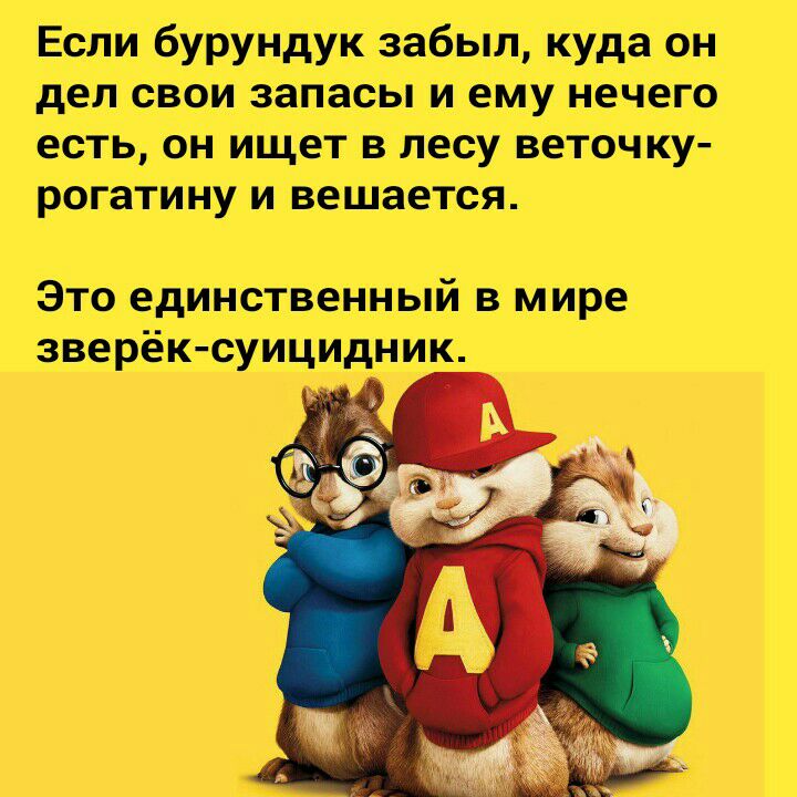 Если бурундук завыл куда он дел свои запасы и ему нечего есть он ищет в лесу веточку рогатину и вешается Это единственный в мире зверексуицида