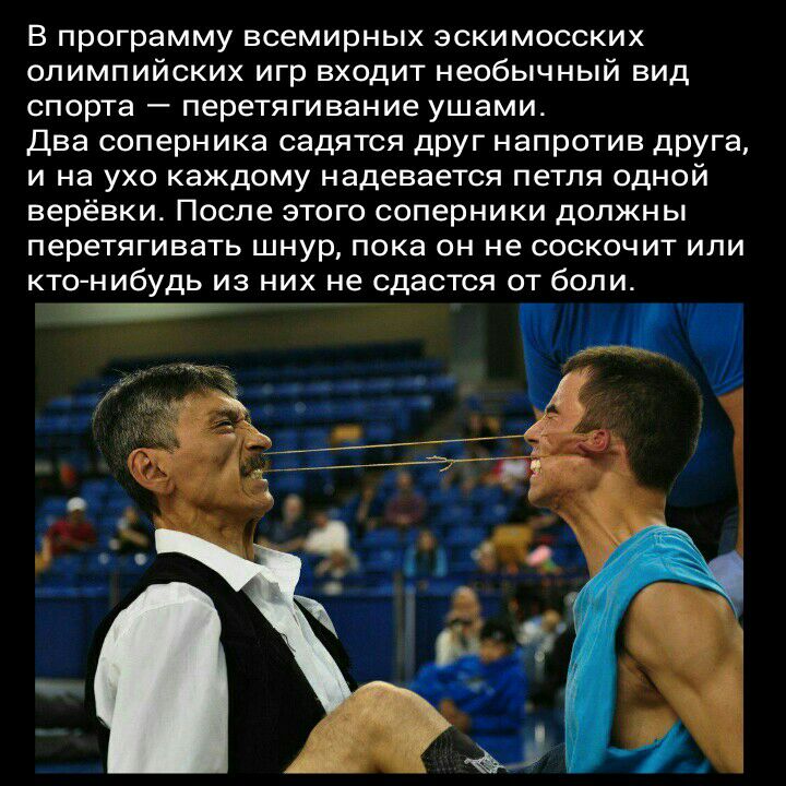 В программу всемирных эскимосских олимпийских игр входит необычный вид спорта перетягивание ушами Два соперника садятся друг напротив друга и на ухо каждому надевается петля одной верёвки После этого соперники должны перетягивать шнур пока он не соскочит или кто нибудь ИЗ НИХ не сдастся ОТ боли _7 77
