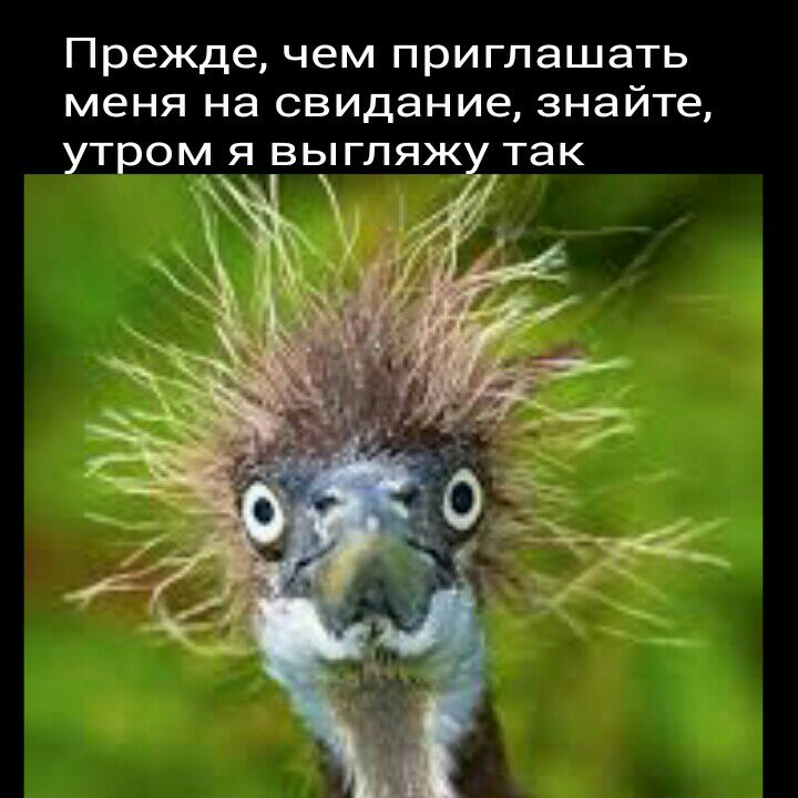 Прежде чем приглашать меня на свидание знайте УТРОМ Я ВЬГЛЯЖУ так