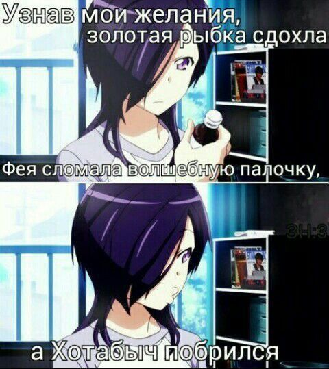 Уёжав м оИжелания золотая ыбка сдохла