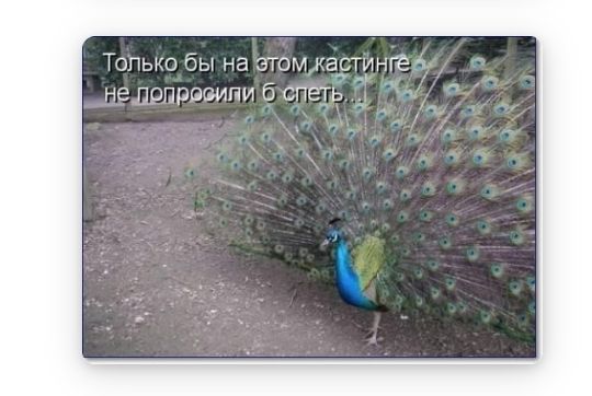 Только бы на этом Картинге не дрпрасипи б спеть