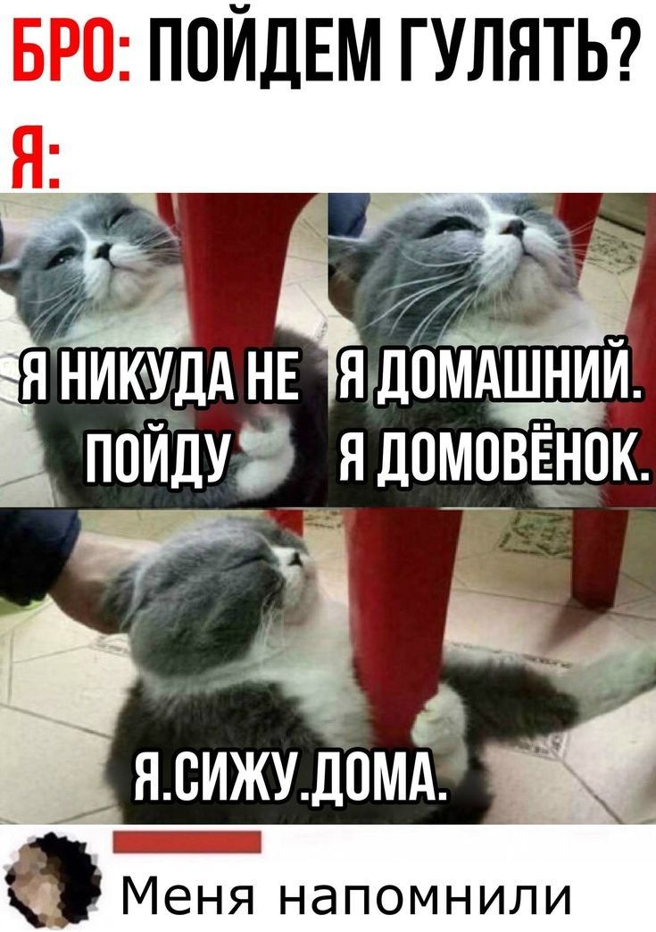 ПОЙДЕМ ГУЛЯТЬ Меня напомнили