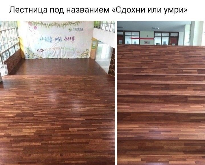 Лестница под названием Сдохни или умри