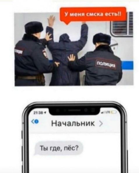 Начальник Ты где пес