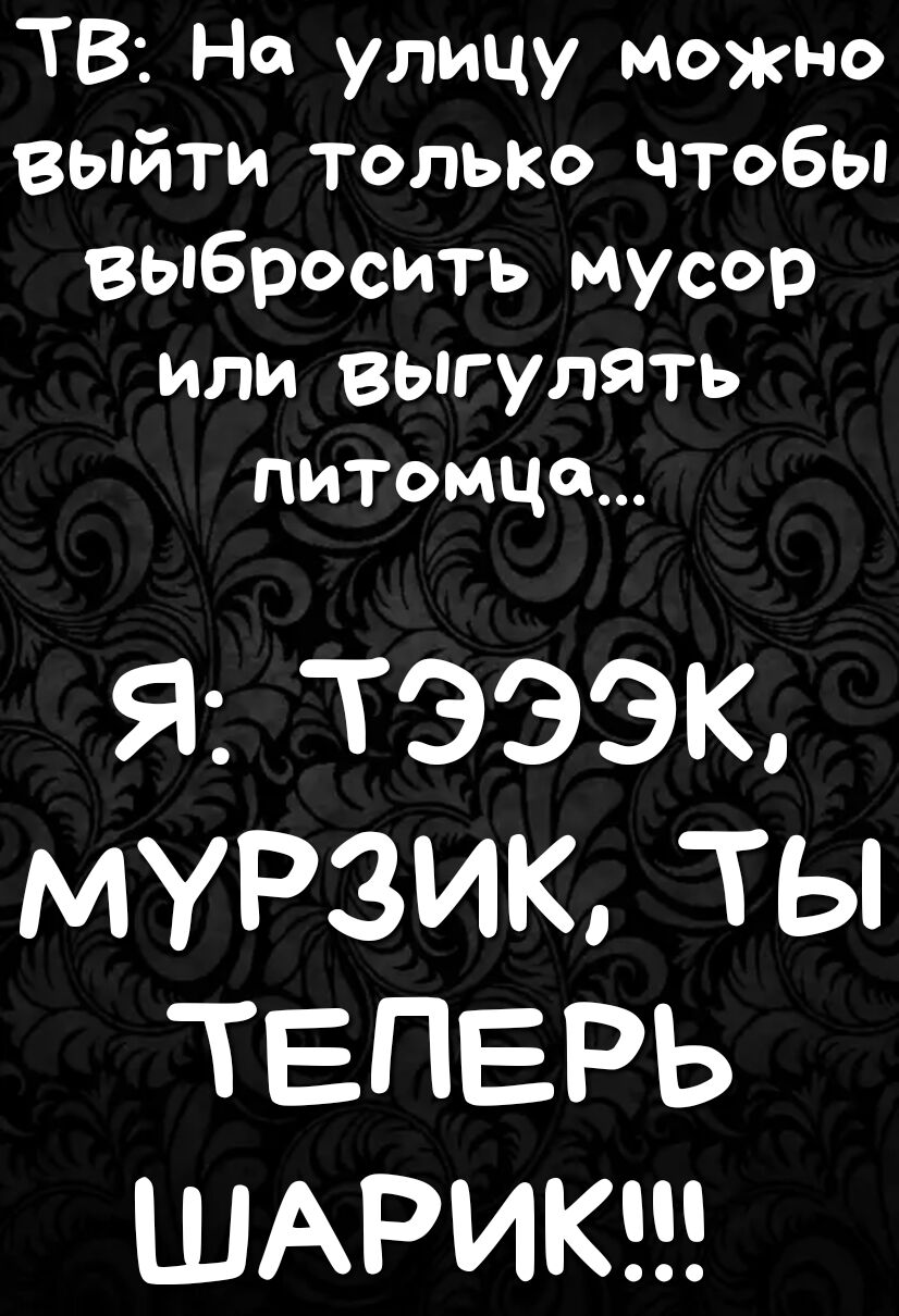ТВ На улицу можно выйти только чтобы выбросить мусор или выгулять питомца Я1ТЭЭЭК МУРЗИ ТЫ ТЕПЕРЬ ШАРИК