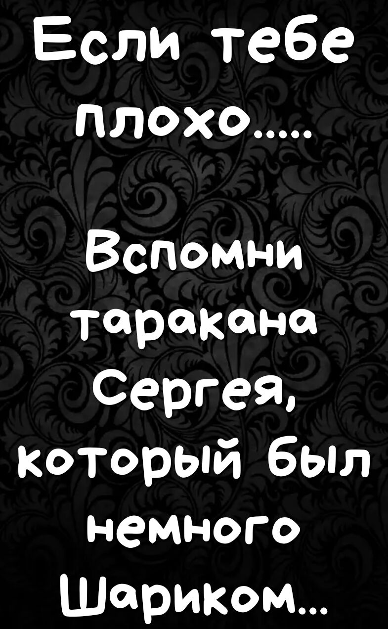 Если тебе плохо Вспомни таракана Сергей Который был немного шариком