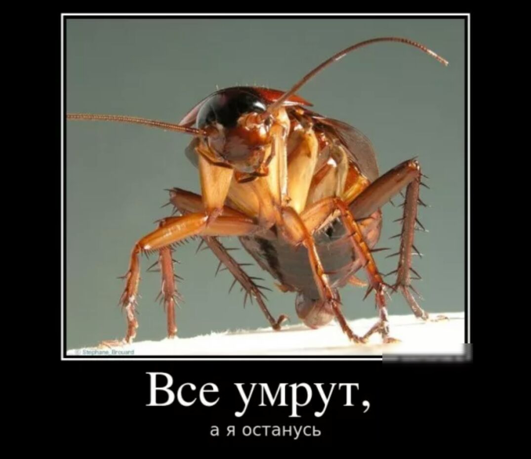 Все умрут а я останусь