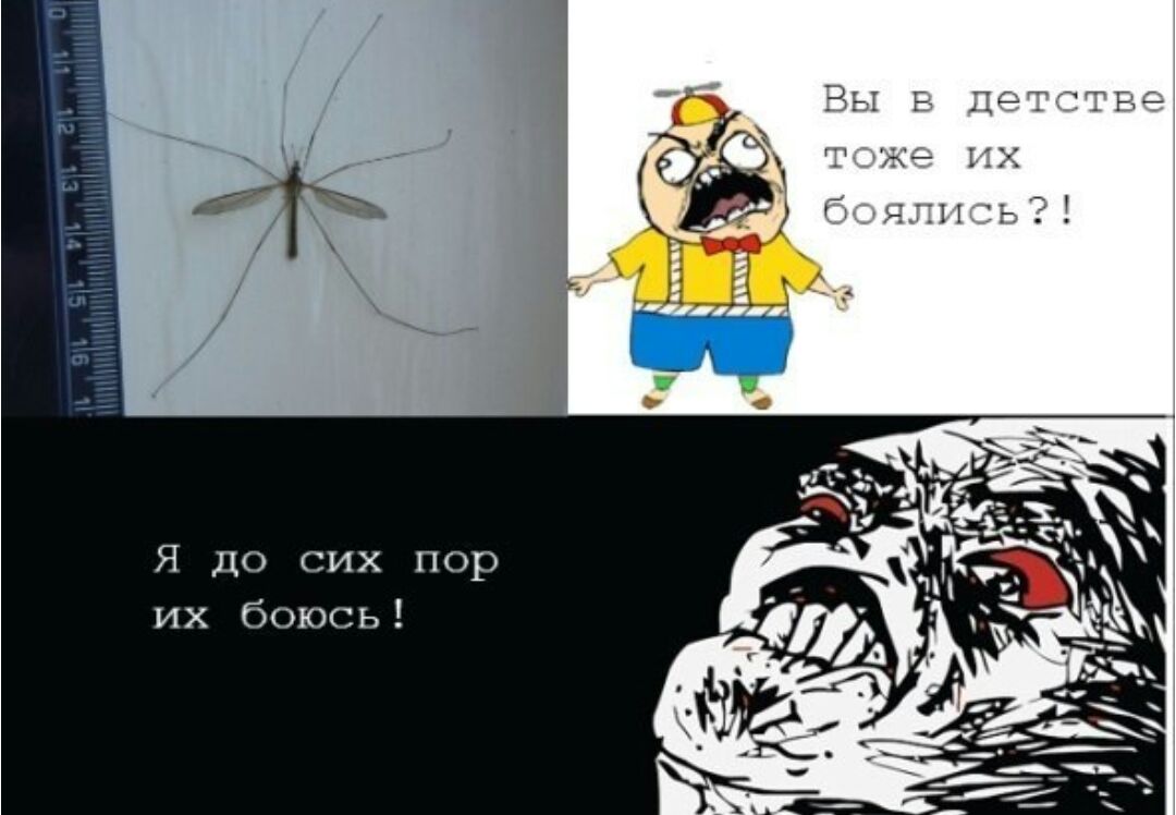 р 0 П Х И С 0 д ь С Ю 0 6 х И Я