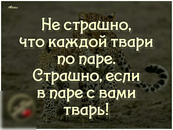 Не страшно Что каждой твари по паре Отрашно если в паре с вами тварь