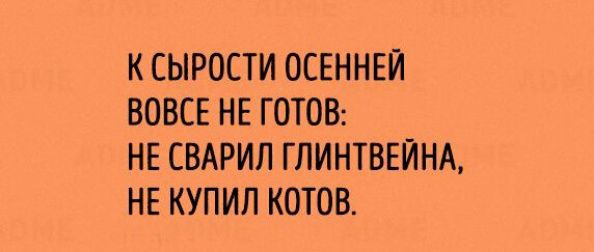 К СЫРОСТИ ОСЕННЕЙ ВОВСЕ НЕ ГОТОВ НЕ СВАРИЛ ГЛИНТВЕЙНА НЕ КУПИЛ КОТОВ