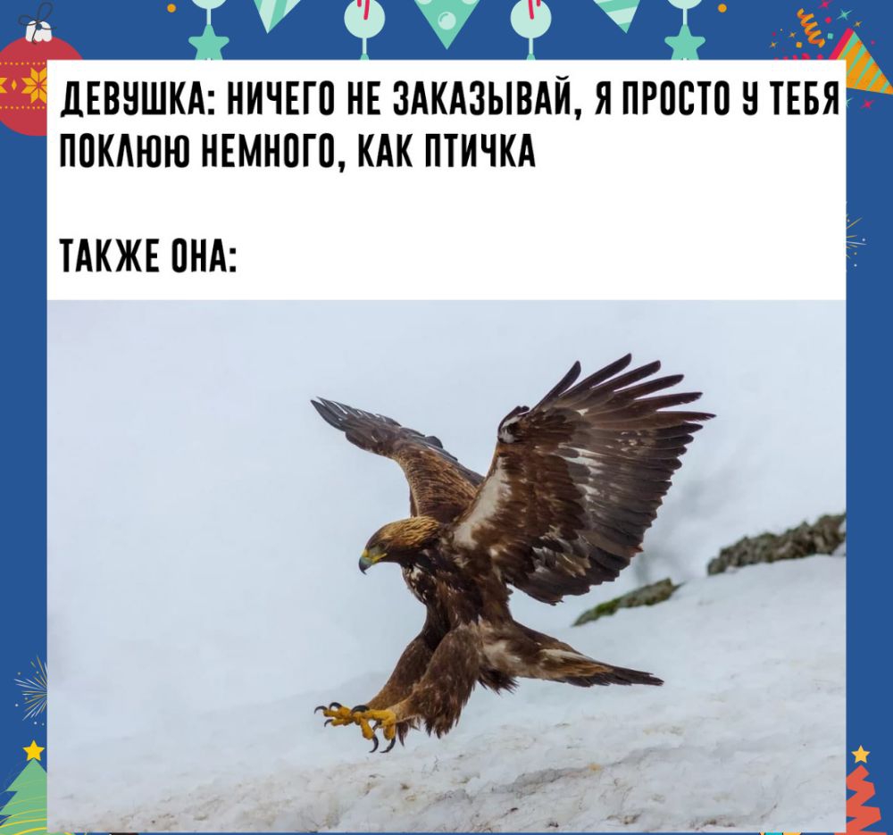 ЦЕВНШКА НИЧЕГО НЕ ЗАКАЗЫВАЙ Я ПРПСТП Н ТЕБЯ ППКАЮЮ НЕМНПГП КАК ПТИЧКА ТАКЖЕ ПНА