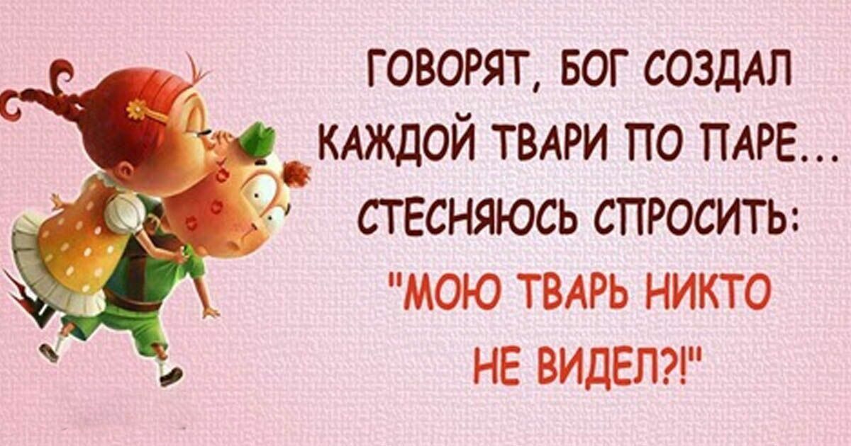 Каждой паре по паре. Бог создал каждой твари по паре. Каждой твари по паре. Бог создал каждой паре по паре стесняюсь спросить. Цитаты каждой твари по паре.