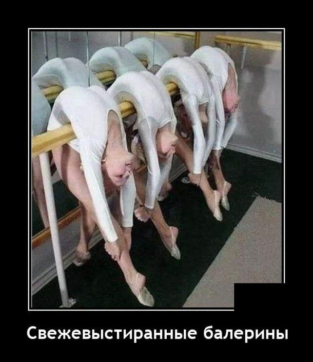 Свежевыстиранные балерины