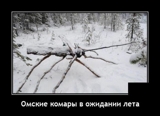 ОМСКИЕ КОМЗРЫ В ожидании лета