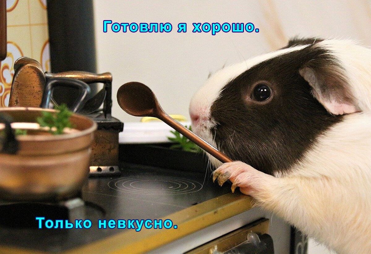 Только нев