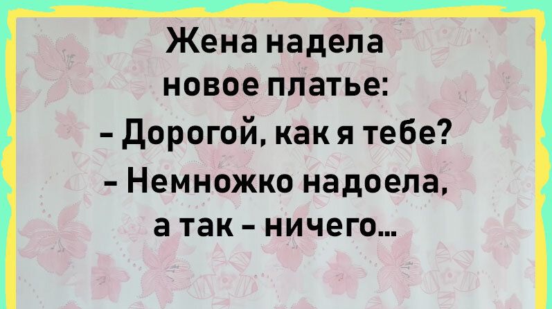 Жена надела новое платье Дорогой какя тебе Немножко надоела а так ничего