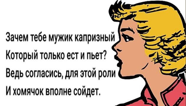 Зачем тебе мужик капризный Который только ест и пьет Ведь согласись для этой роли И хомячок вполне сойдет