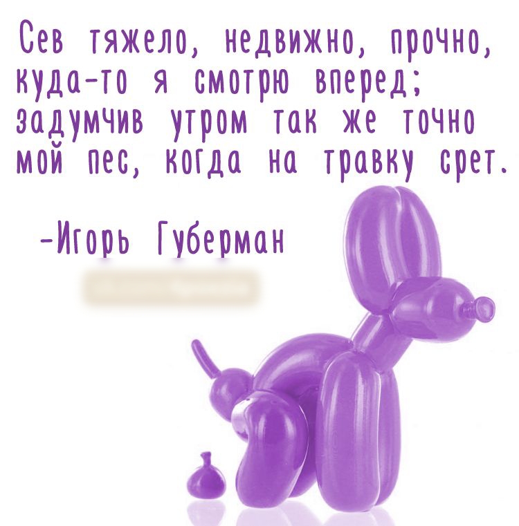 Сев тяжело недвижно прочно куда то я смотрю вперед задумчив утром так же точно мой пес нотдо но тровну орет Итооь Губерман