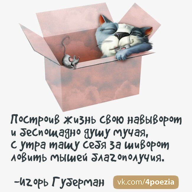 построив Жизнь свою на8ы8Рт и зеСиощаано душ у мучая утра тащу еёя за щи8Рт А8ить МЫШей длаіоиолуЧия ширь Г уберман