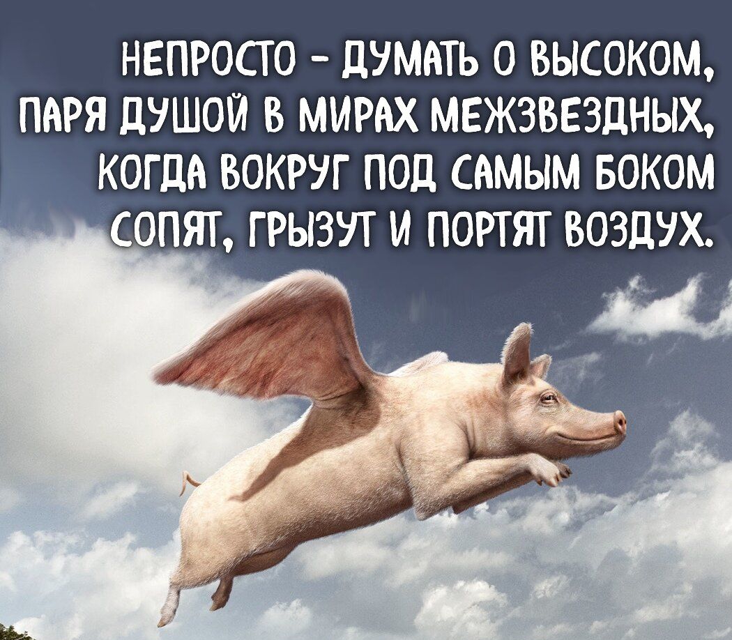 НЕПРОСТО ЦУМАТЬ О ВЫСОКОМ ПАРЯ ЦУШОЙ В МИРАХ МЕЖЗВЕЗДНЫХ КОГДА ВОКРУГ ПОД САМЫМ БОКОМ СОПЯТ ГРЫЗУТ И ПОРТЯТ ВОЗДУХ