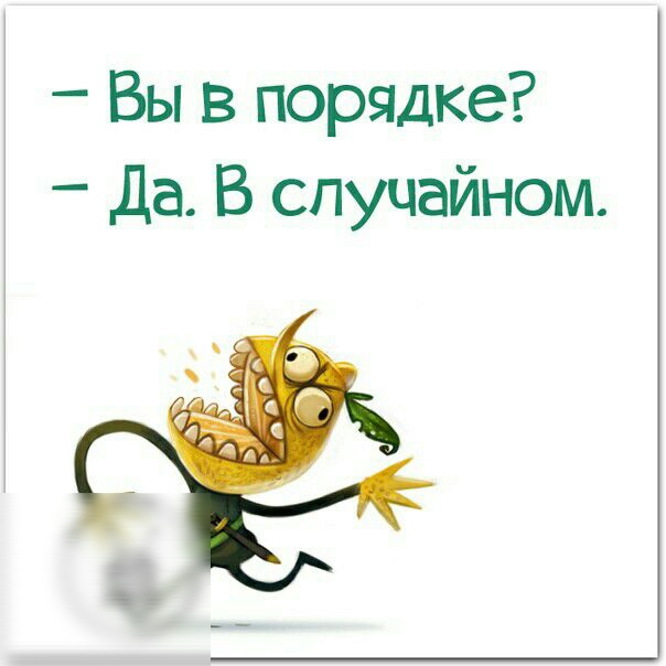 Вы в порядке Да В случайном