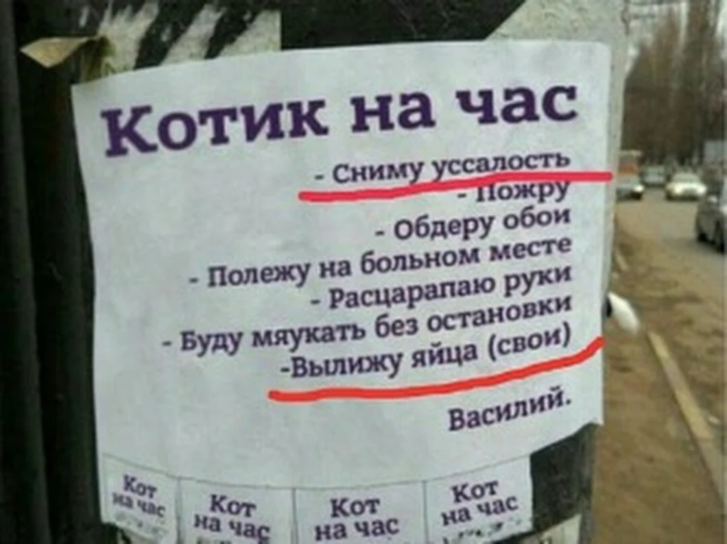 сниму УСОСТ ЦОЖРУ _ обдеРУ 06