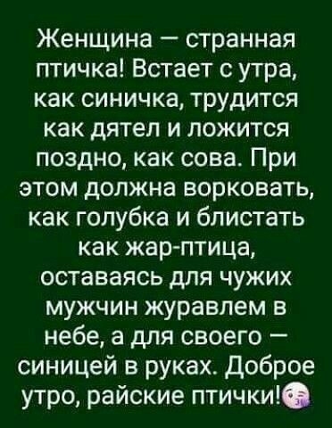 Женщина странная птичка Встает с утра как синичка трудится как дятел и ложится поздно как сова При этом должна ворковать как голубка и блистать как жар птица оставаясь для чужих мужчин журавпем в небе а для своего синицей в руках доброе утро райские птички