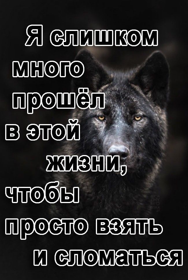 ВШШЫ чтэбЩ Ш ШФХШМ
