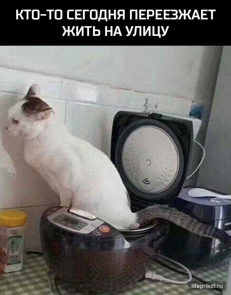 КТОТО СЕГОДНЯ ПЕРЕЕЗЖАЕТ ЖИТЬ НА УЛИЦУ _1 __ _ Ша гкшш _ гу яО