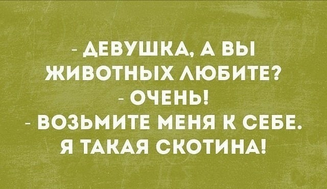 АЕВУШКА А ВЫ ЖИВОТНЫХ АЮБИТЕ ОЧЕНЬ ВОЗЬМИТЕ МЕНЯ К СЕБЕ Я ТАКАЯ СКОТИНА