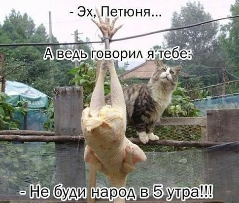 Эх__Гетюня _ да 5_