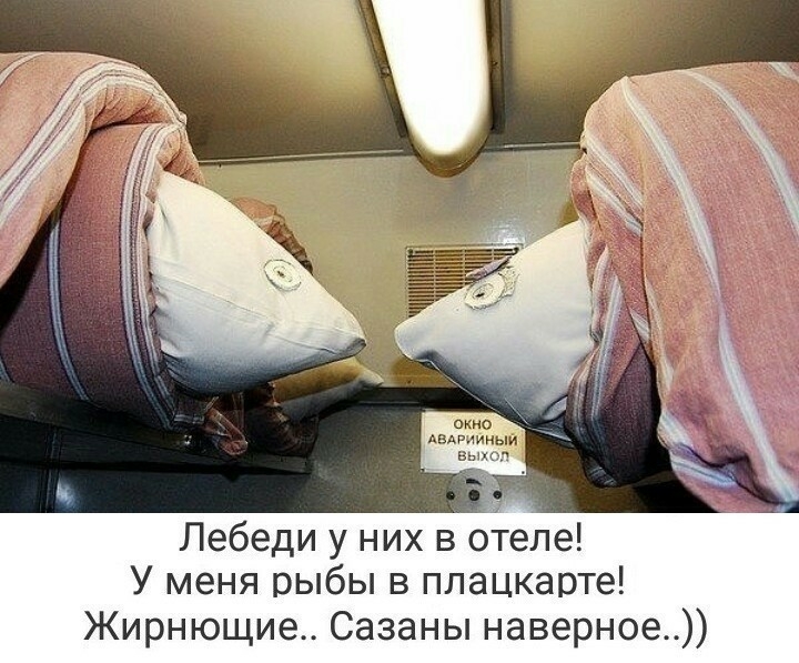 двдщиньм вы Лебеди у них в Теле У меня рыбы в плацкарте Жирнющие Сазаны наверное