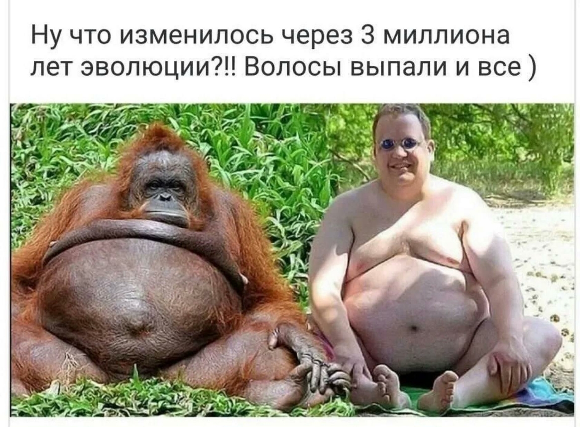Ну что изменилось через 3 миллиона лет эволюции Волосы выпали и все