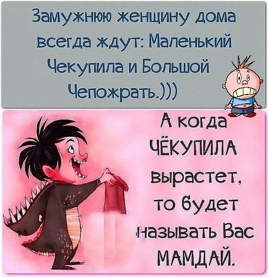 Замужнюю женщину дома всегда ждут Маленький Чекупипа и Большой Чепожрать А когда ЧЁКУПИЛА вырастет то будет называть Вас МАМДАЙ