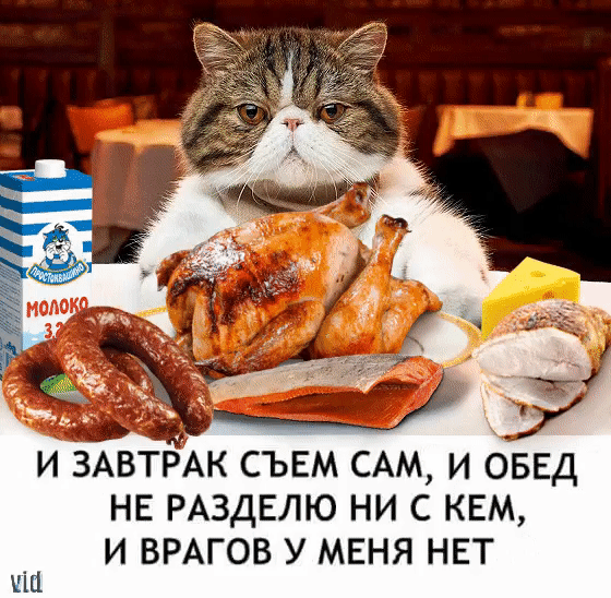 и АЗАВТРАК съем САМ и оввд нв РАЗДЕЛЮ ни с кем и И ВРАГОВ У МЕНЯ НЕТ щ
