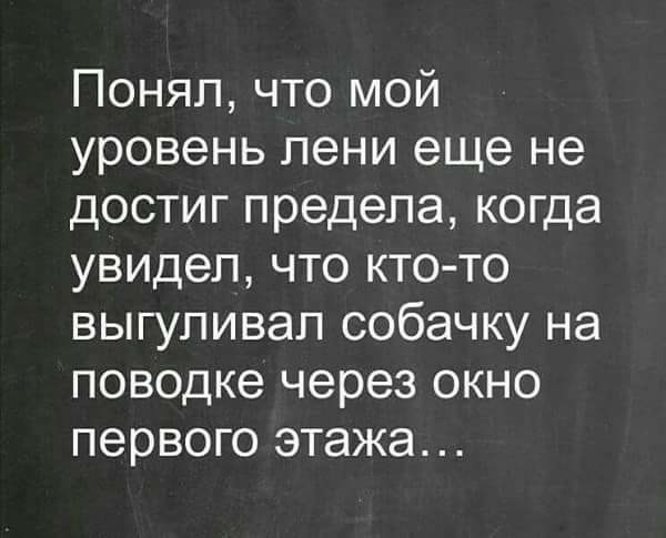 Понял что мой уровень лени еще не достиг предела когда увидел что ктото выгуливал собачку на поводке через окно первого этажа