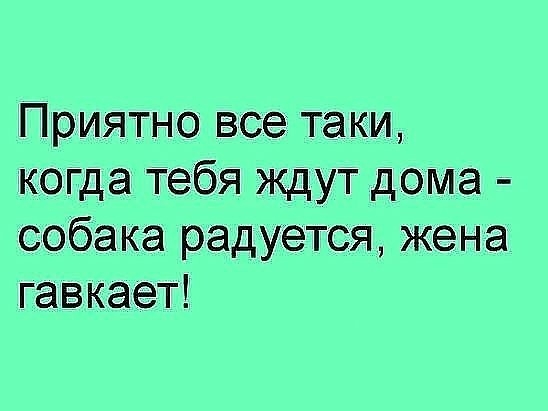 Приятно все таки когда тебя ждут дома собака радуется жена гавкает