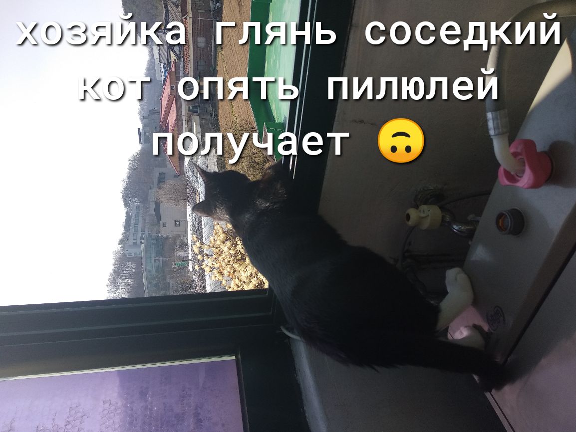 Ъ соседгий пилюлеи