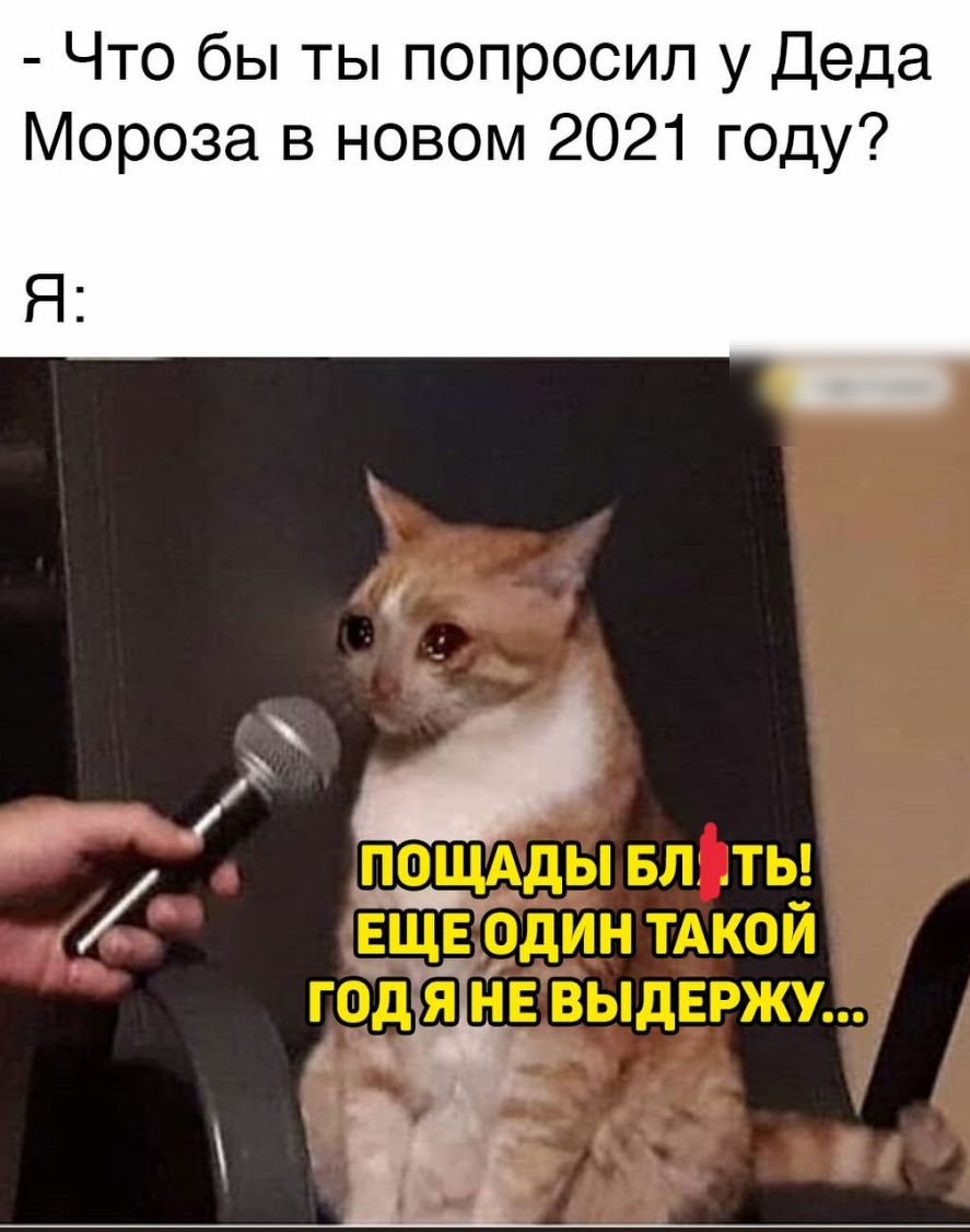 Что бы ты попросил у Деда Мороза в новом 2021 году Я