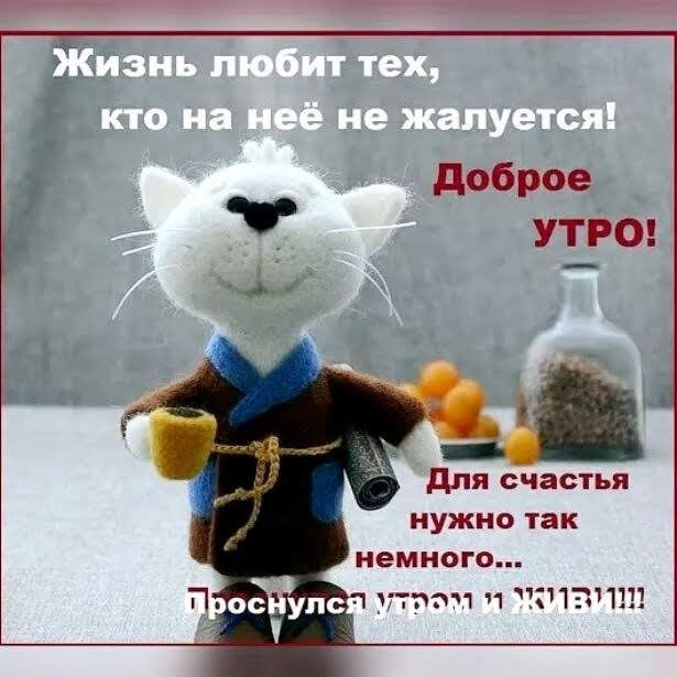 для счастья нужно так немного птиц и пзпш
