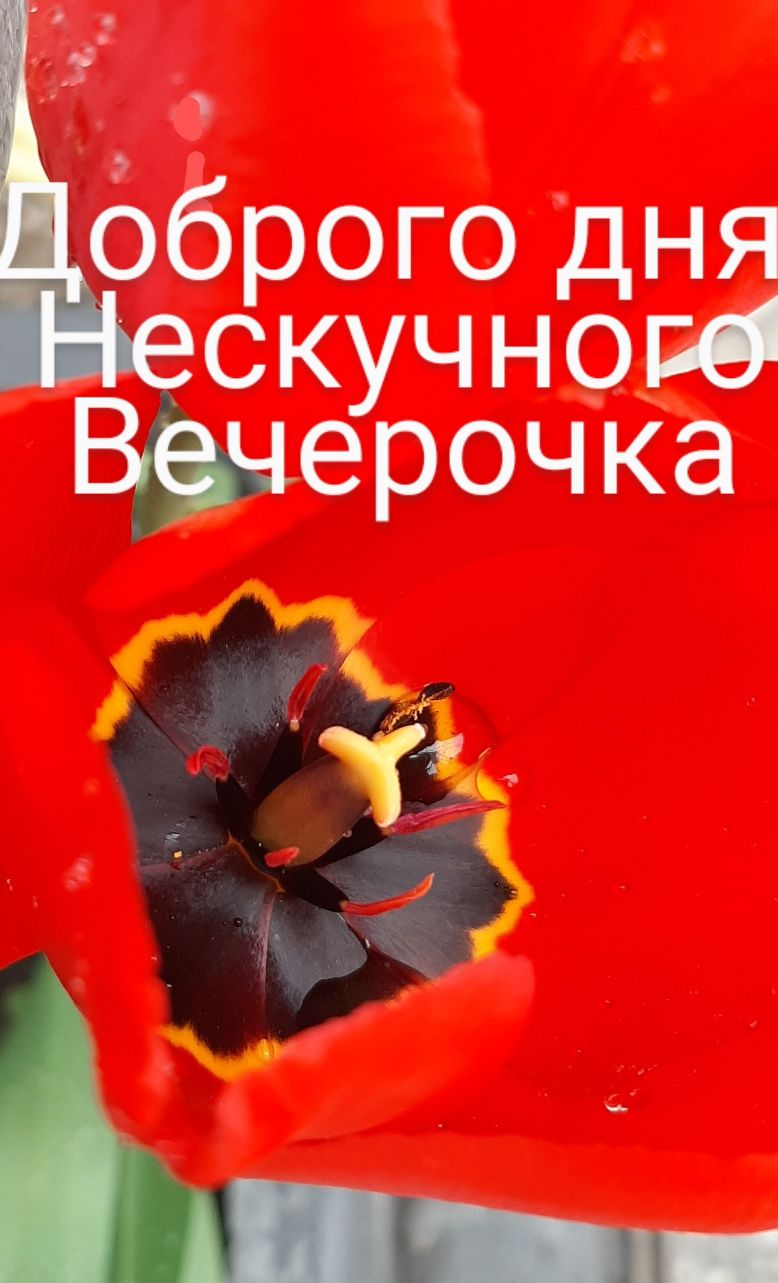і бброго дня скучного ерочка