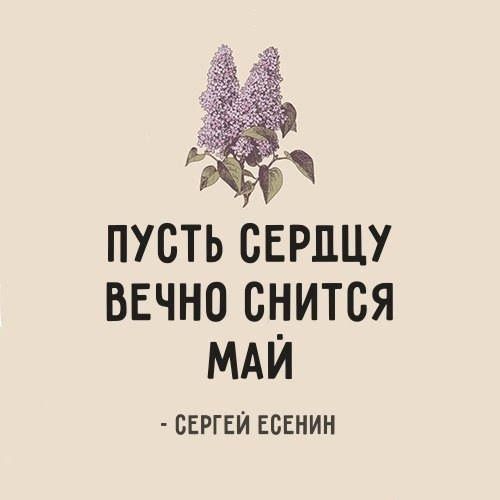 пусть сердцу вечно снится мди СЕРГЕЙ ЕСЕНИН