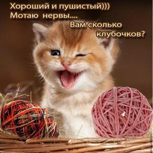 йУбочков й _ Вамрюлько И и пушисты Хороши Мотаю нервы