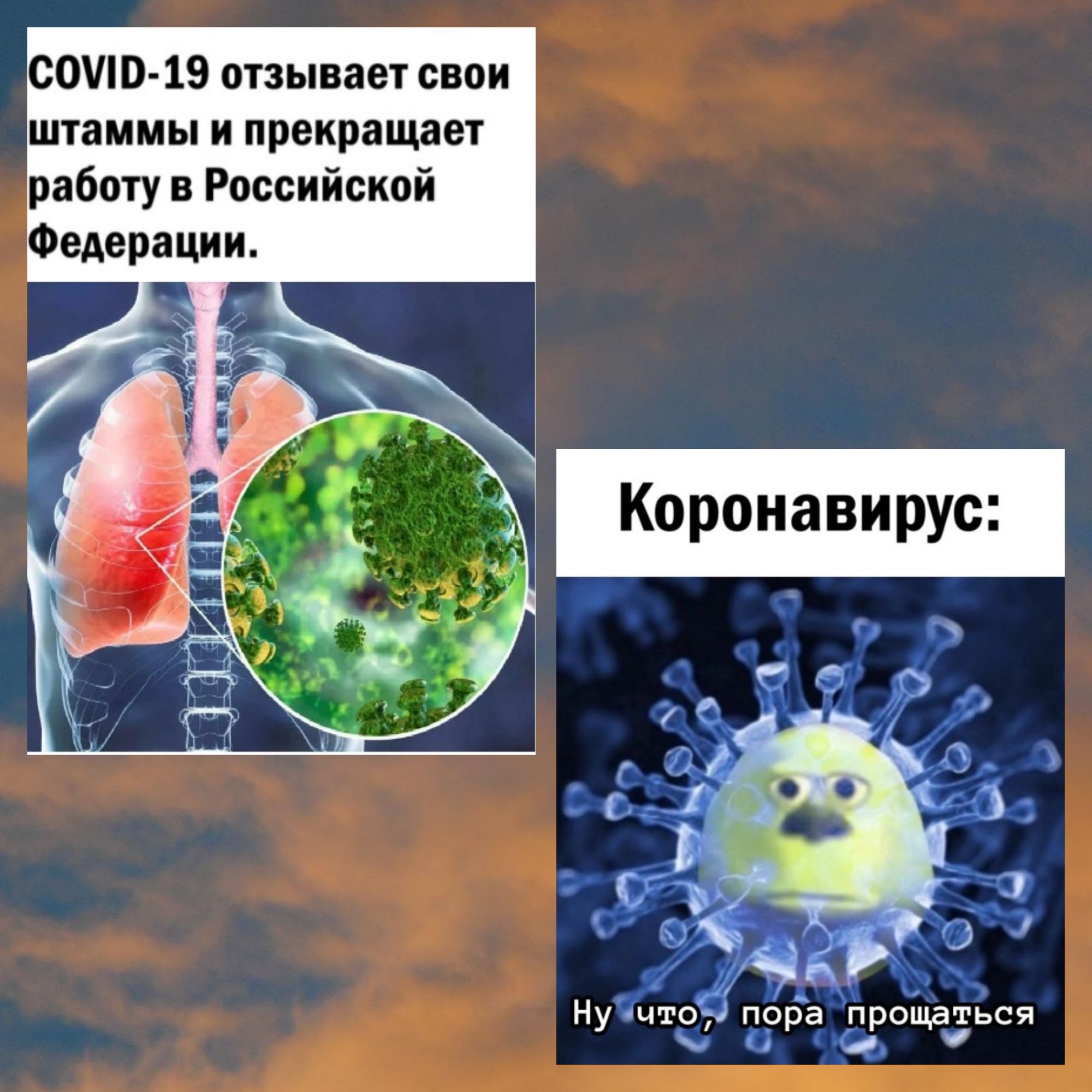 СО 19 отзывает свои штаммы и прекращает работу в Российской Коронавирус