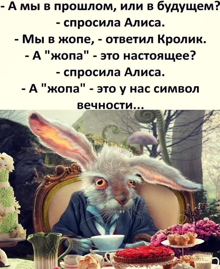 А мы в прошлом или в будущем спросила Алиса Мы в жопе ответил Кролик А жопа это настоящее спросила Алиса А жопа это у нас символ вечности