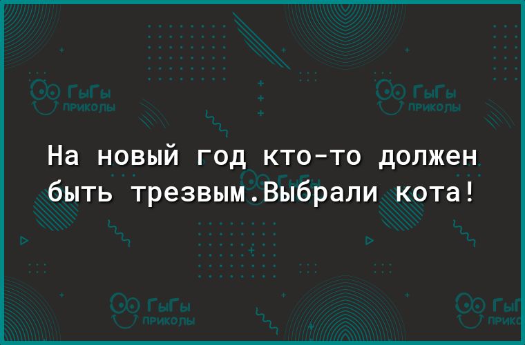 На новый год ктото должен быть трезвымВыбрали кота