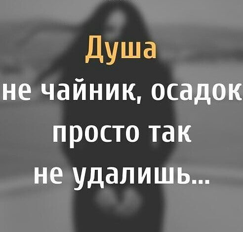 Душа не чайник осадок просто так не удалишь