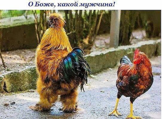 ОБшке какой нулсчцна