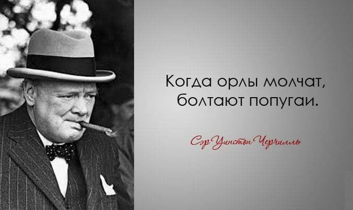 Коша орАы может бОАтоют попугаи