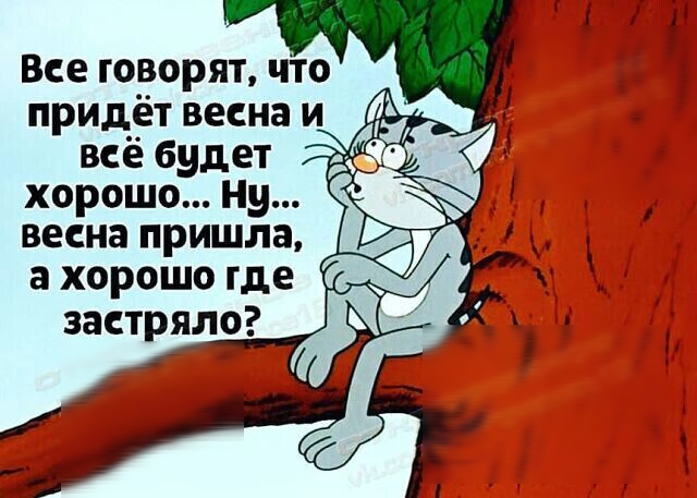 тікток товпливу Как вам такой закон ет хорошо Ну весна пришла а хорошо где застряро